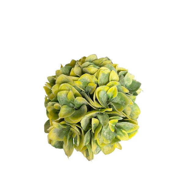 6.5 In. Artificial Potted Succulents In Terracotta-Like Pots With Green & Yellow - Picture 2 of 4